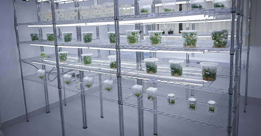 Inauguraron moderna infraestructura para impulsar la investigación agropecuaria y forestal en Amazonas