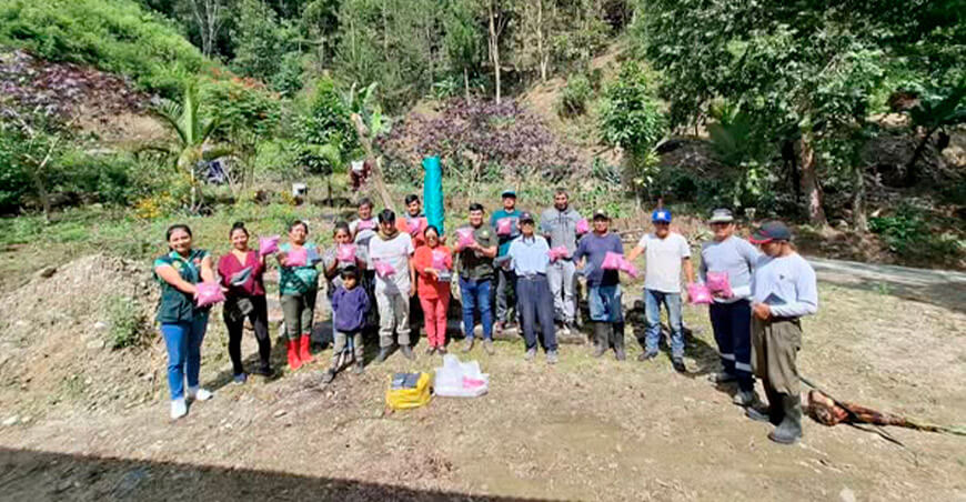 Instalan viveros volantes para producir más de 30 000 plantones de café en San Ramón Junín