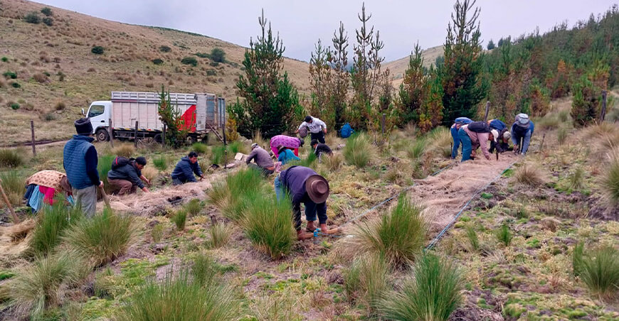 Establecerán comités de vigilancia y control comunitarios para prevenir los incendios forestales Apurímac Perú