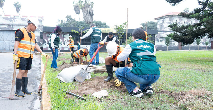 Instalaron más de 300 árboles en el cuartel de la Primera Brigada de Fuerzas Especiales del Ejército del Perú
