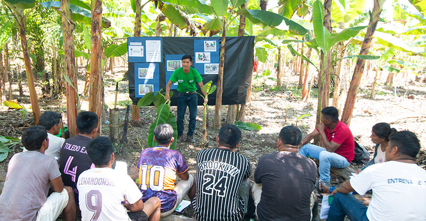 Fortalecen capacidades de familias productoras de plátano en Amazonas con Escuelas de Campo de Devida Perú