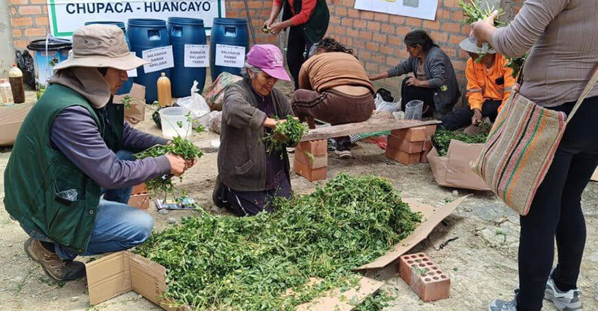 Agro Rural elaboración biol prpoductores Perú
