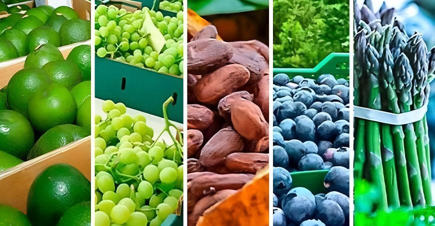 agroexportaciones peruanas