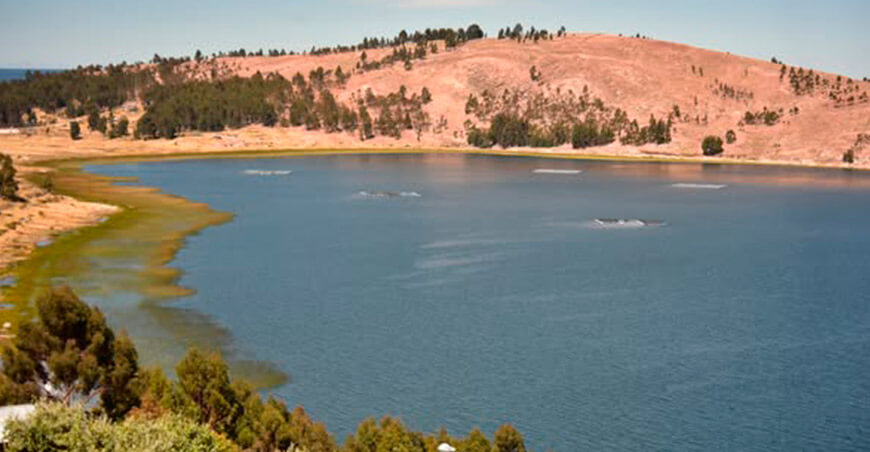 Área de Conservación Regional Quta Mama Puno Perú