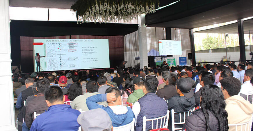 Casma será el epicentro frutícola con el XII Congreso Internacional de Mango y Palto
