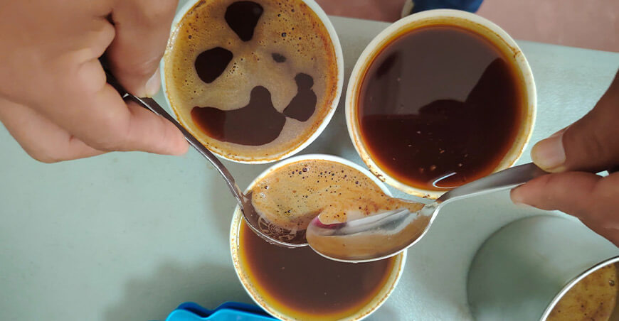 Taza de Excelencia catación de cafés del Vraem Devida Perú