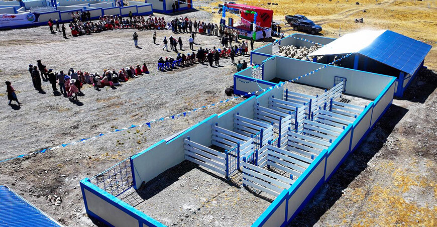 Centro de Producción de Reproductores de alpacas en Usicayos Puno Perú