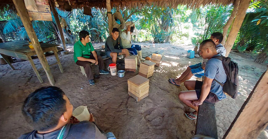 abejas nativas sin aguijón Junín Devida Perú