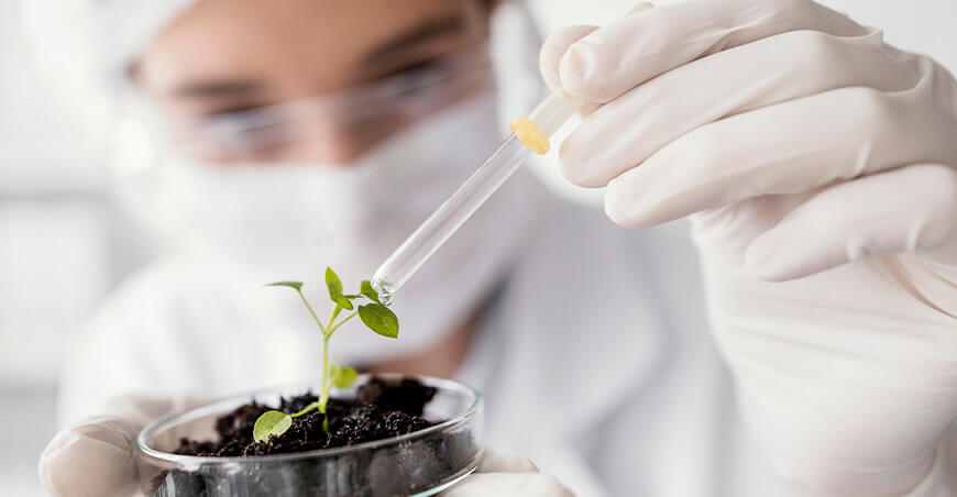 Concytec innovación en la agricultura peruana