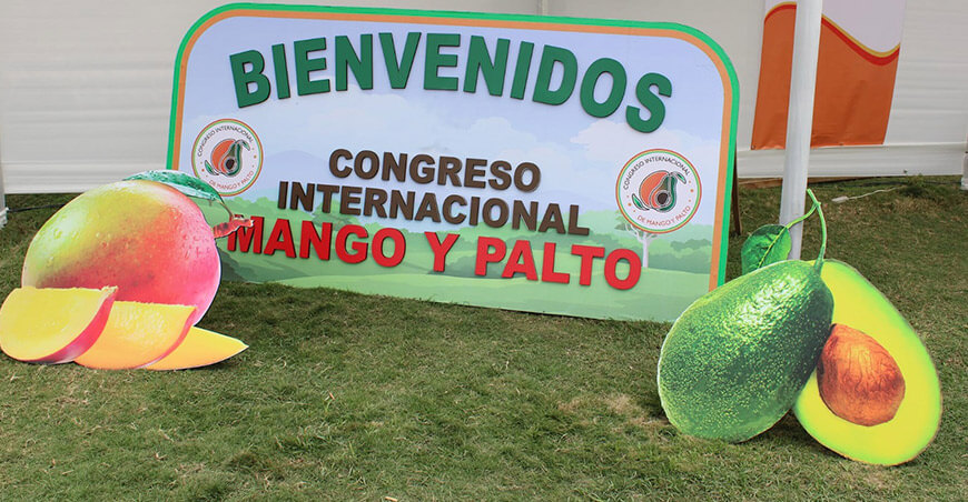 Casma será el epicentro frutícola con el XII Congreso Internacional de Mango y Palto