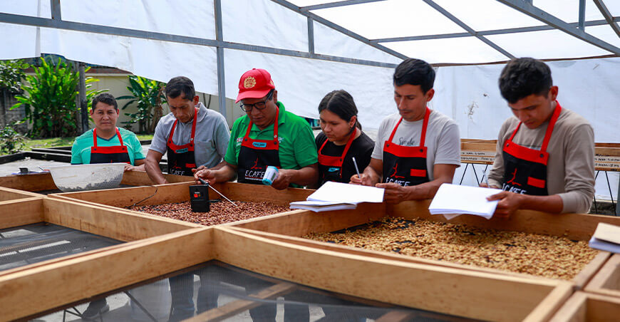 Caficultores de Ayacucho, Cusco y Junín son capacitados para elevar la calidad y el valor del cultivo Devida Perú