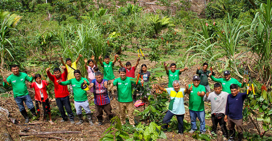 Fortalecieron capacidades productivas de cacaoteros en la comunidad nativa Chapi Amazonas Devida Perú