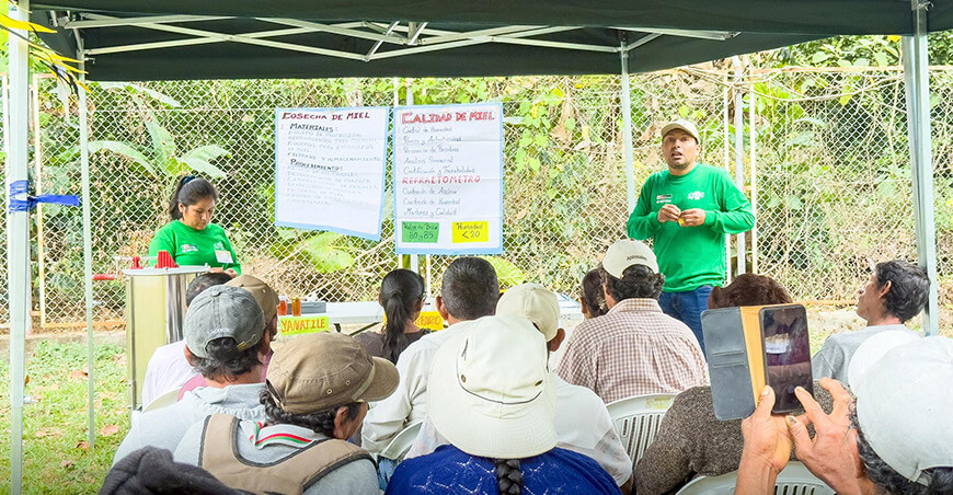 familias apícolas fortalecen sus capacidades en “Día de Campo” impulsada por Devida Perú