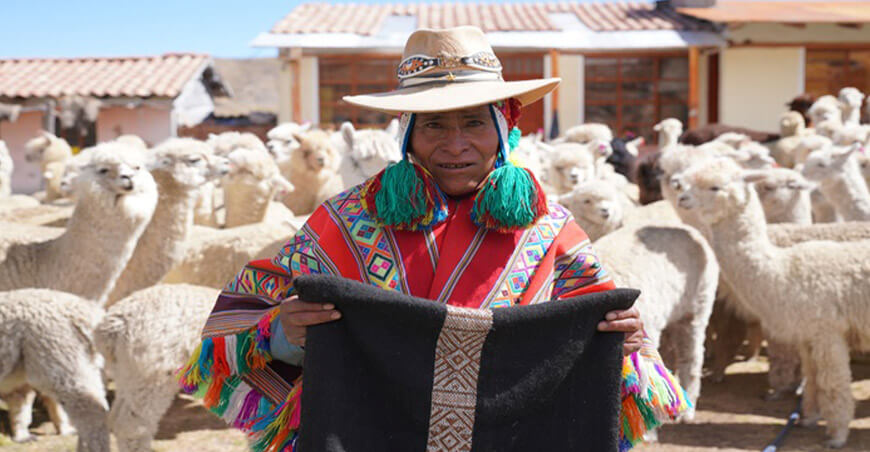 empresa cusqueña “Ama Sacred Valley” productor alpaquero