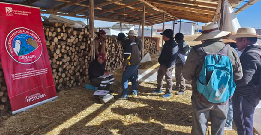 Entregaron 7500 rollizos de madera a más de 300 familias productoras de Espinar Cusco Perú