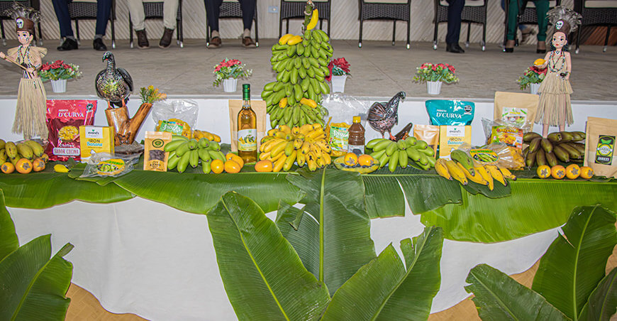 Festival Regional del Plátano Huánuco Perú