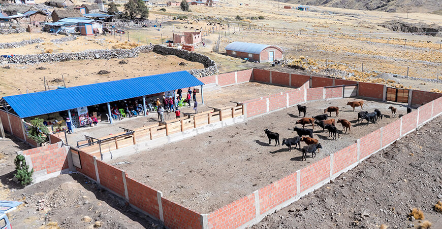 Fortalecen competitividad de la ganadería de lidia en Challhuahuacho Apurímac Perú