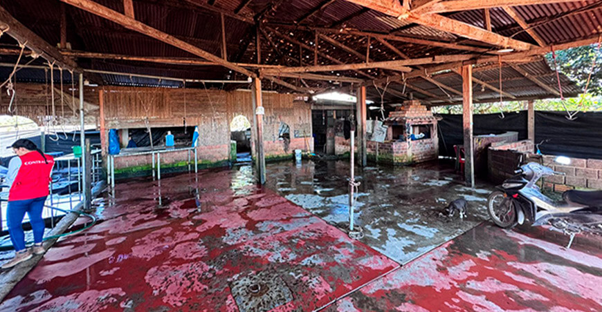 Proyecto de matadero municipal de Rioja se ejecuta sin autorización sanitaria en San Martín Perú