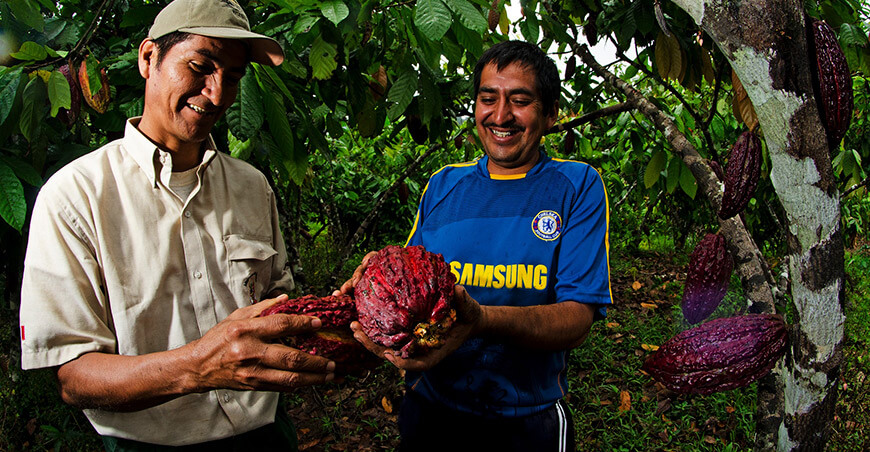 productor de cacao Perú