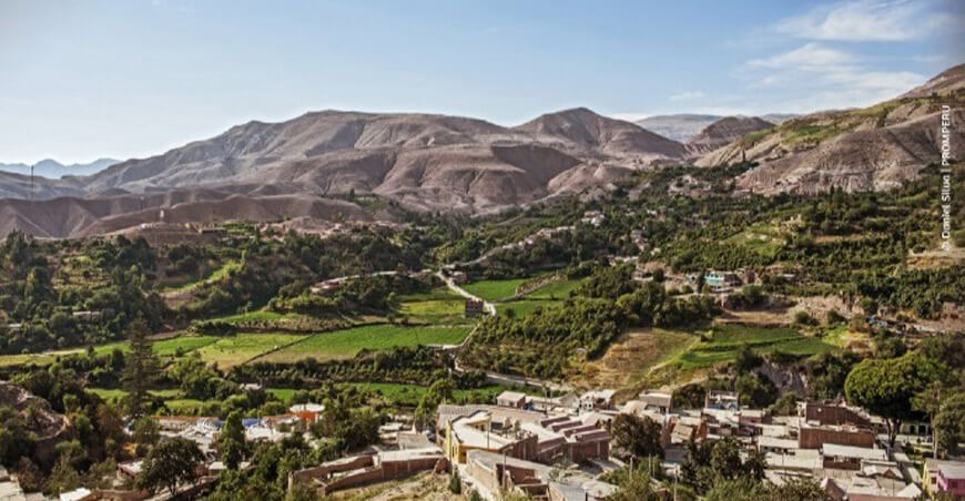 Expertos promueven estrategias basadas en la naturaleza para prevenir desastres en el Perú
