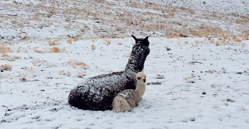 nevada sierra Perú