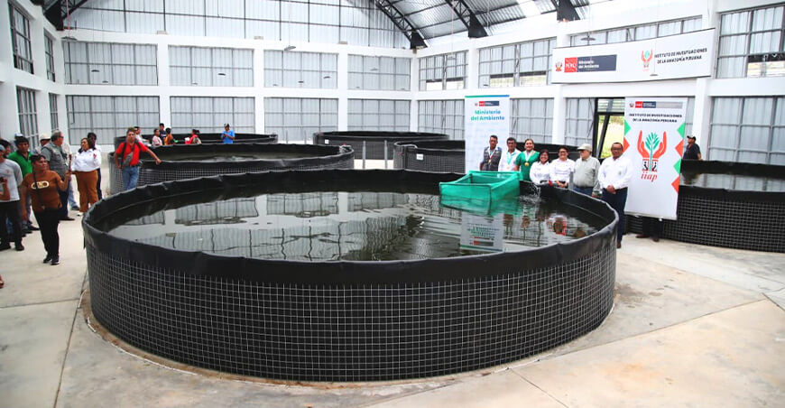 Inauguran sede del Instituto de Investigaciones de la Amazonía Peruana en Tingo María Huánuco Perú