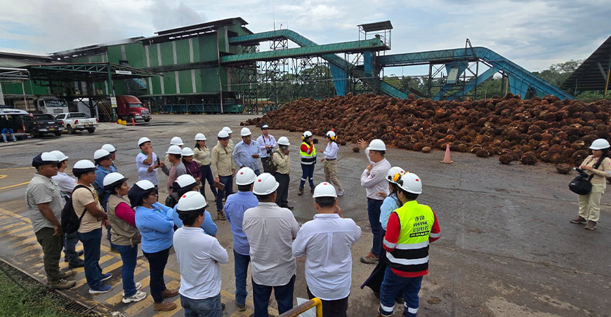 Mesa técnica de palma aceitera resalta manejo responsable y sostenible de Ocho Sur