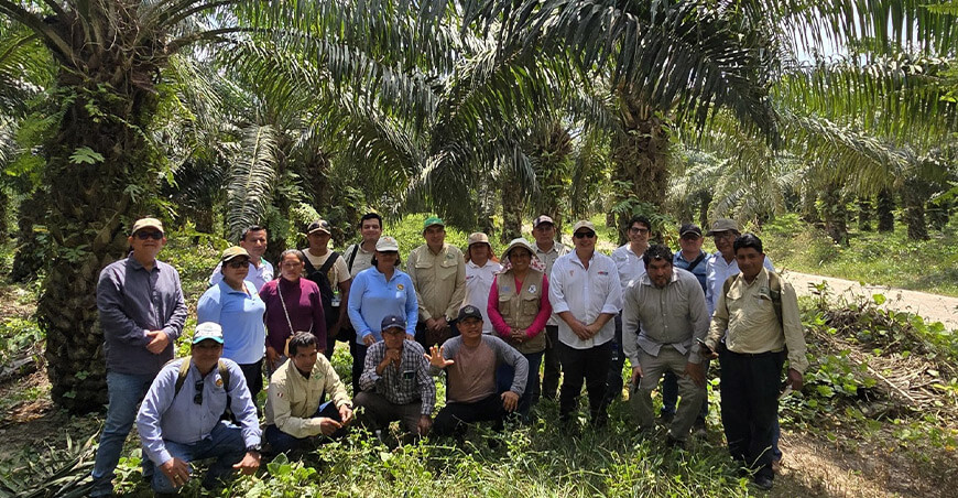 Mesa técnica de palma aceitera resalta manejo responsable y sostenible de Ocho Sur