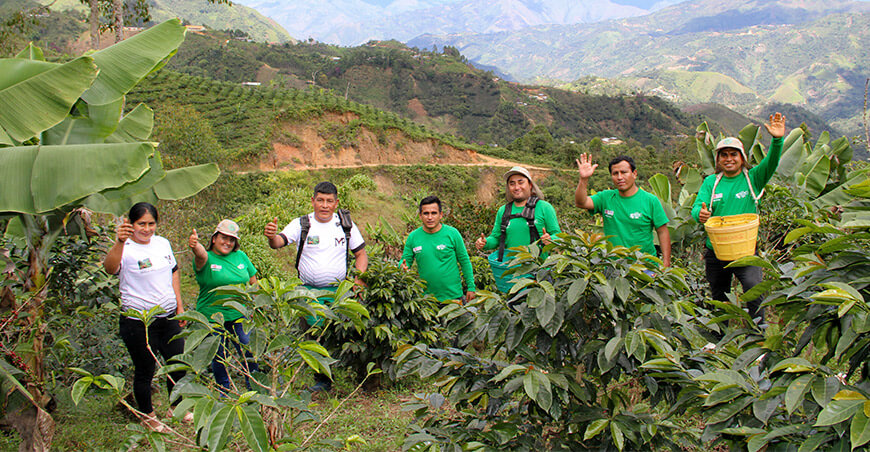 Devida fortaleció las capacidades de sus técnicos para mejorar la cadena del café en Cajamarca Perú