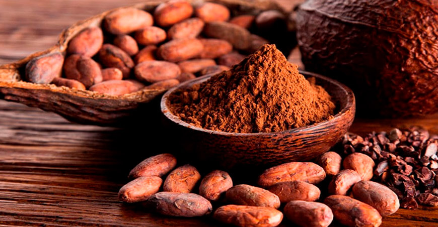 Perú cacao en grano y polvo peruano