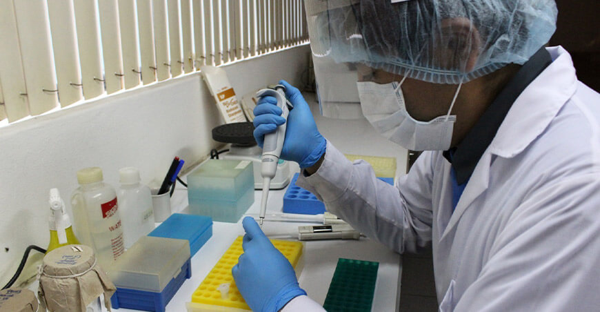 ciencia innovación tecnología Produce