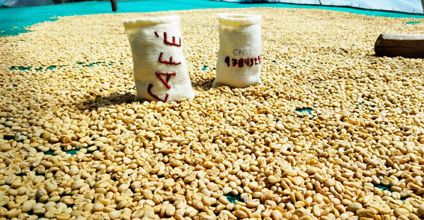 Perú exportación de café peruano