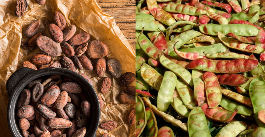 Perú exportación cacao y tara