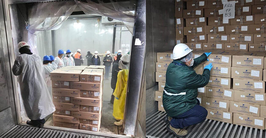 Perú concreta primera exportación de 27 toneladas de carne de pollo a Haití