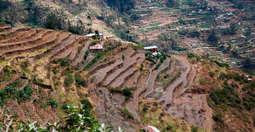 ONU otorgó Premio Ecuatorial 2025 a la Zona de Agrobiodiversidad Andenes de Cuyocuyo del Perú