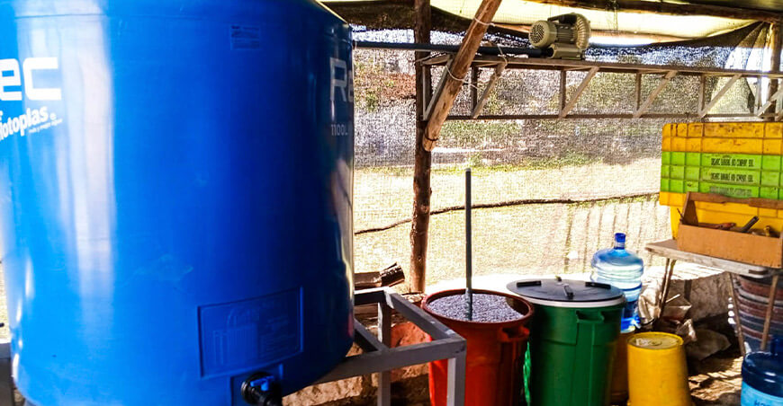microalgas y microorganismos benéficos en sus plantaciones de tuna en La Joya Arequipa Perú
