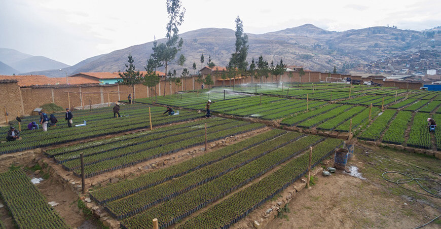 Produce impulsa innovación forestal en Huancavelica