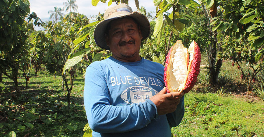 productor de cacao Perú