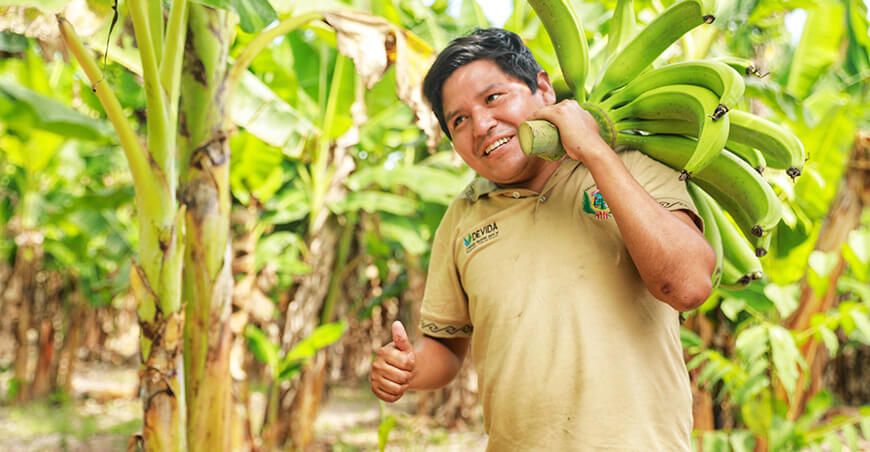 productor de plátano Junín Devida Perú
