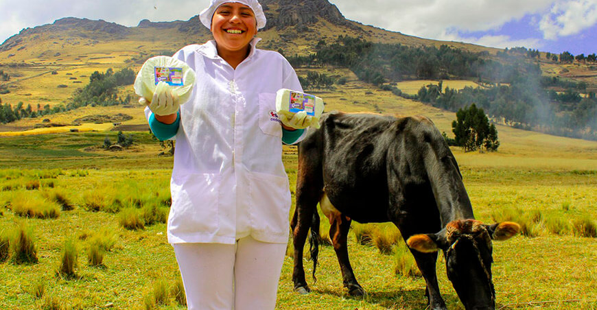 productora de lácteos quesos Perú
