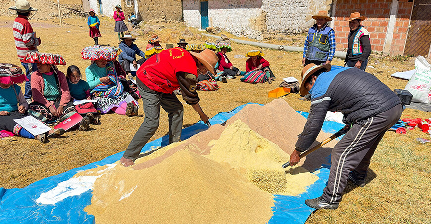 Productores de Jayuni fortalecen sus capacidades en alimentación animal Cusco Perú