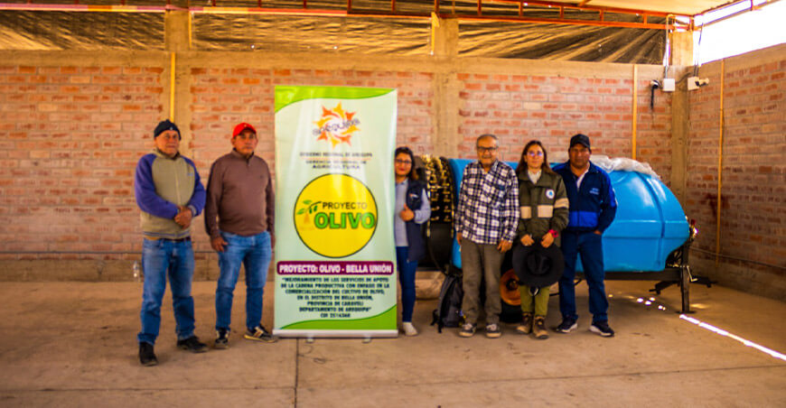 Fortalecen capacidad operativa de productores de olivo en Bella Unión Arequipa Perú