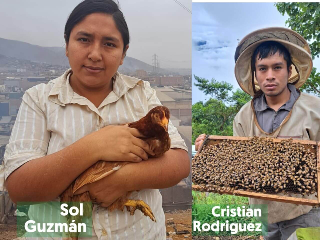 Jóvenes transforman la agricultura local con iniciativas sostenibles y resilientes Junín Perú