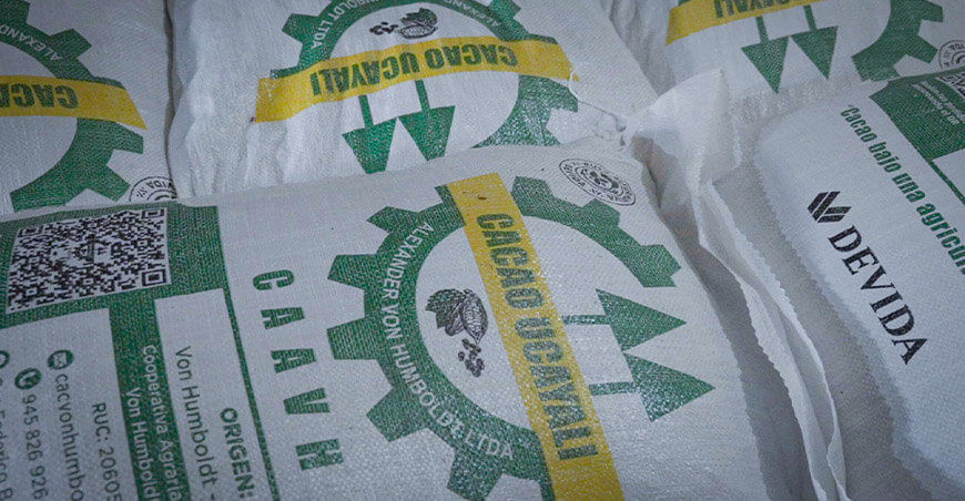 Productores de Ucayali vendieron 17.8 toneladas de cacao orgánico Perú