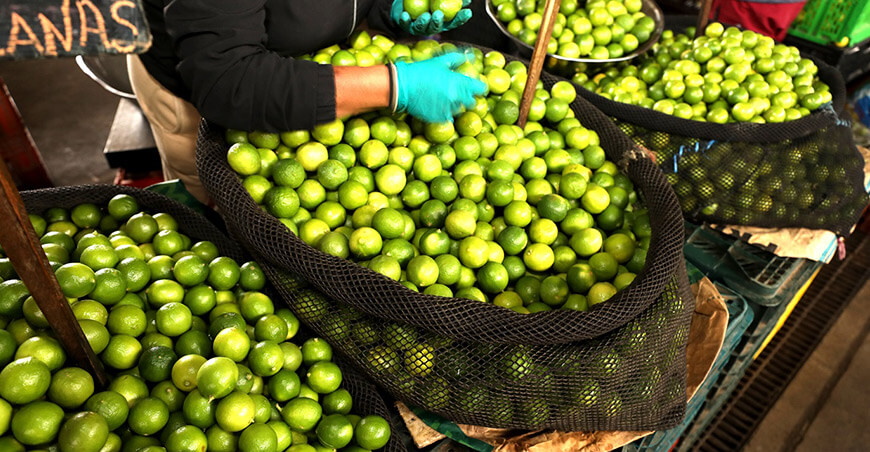 venta limón Capital Lima Perú