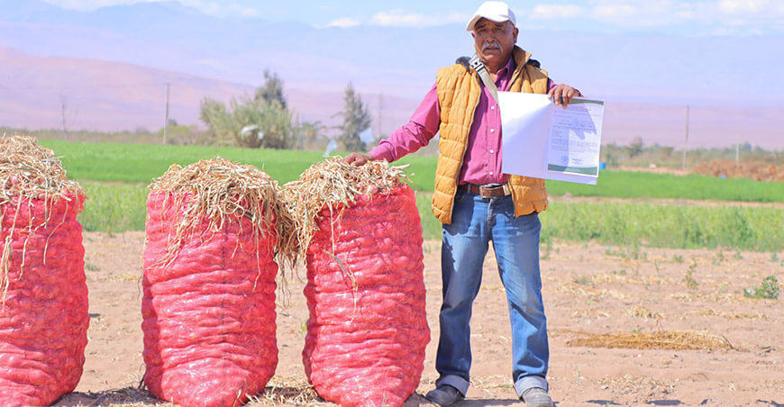 familias productoras recibieron constancias de posesión para formalizar sus predios rústicos Tacna Perú