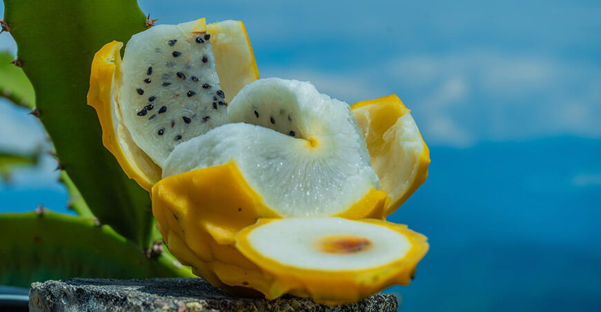 Pitahaya Perú