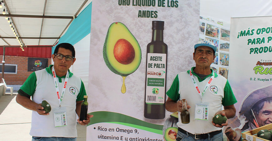 aceite palta Pamparomas Áncash Perú
