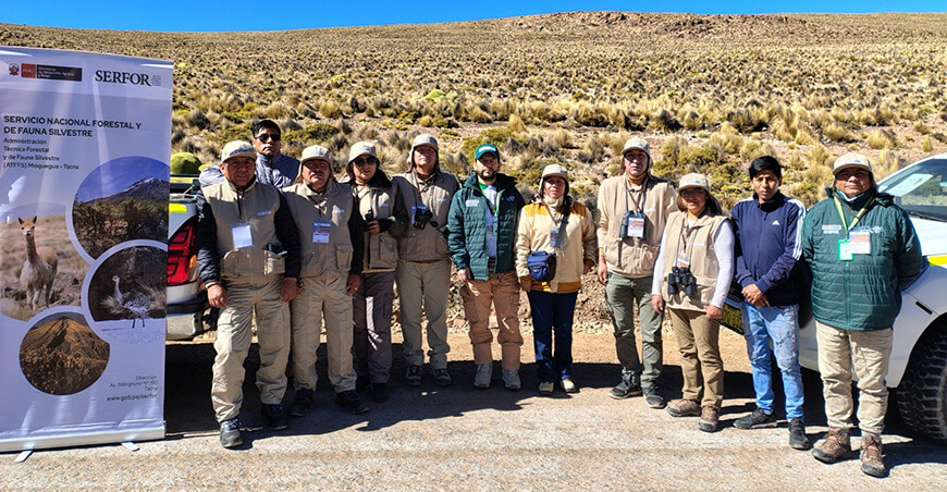 brigadista del V Censo Nacional de Vicuñas Serfor Perú