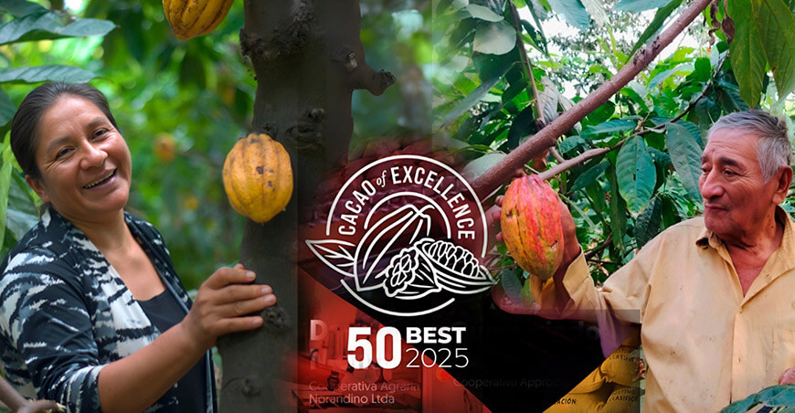 Cacao peruano figura entre los 50 mejores del mundo